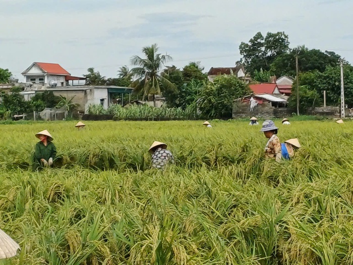 Ảnh hưởng cơn bão số 3: Thanh Hoá phát lệnh báo động I trên sông Mã- Ảnh 1.