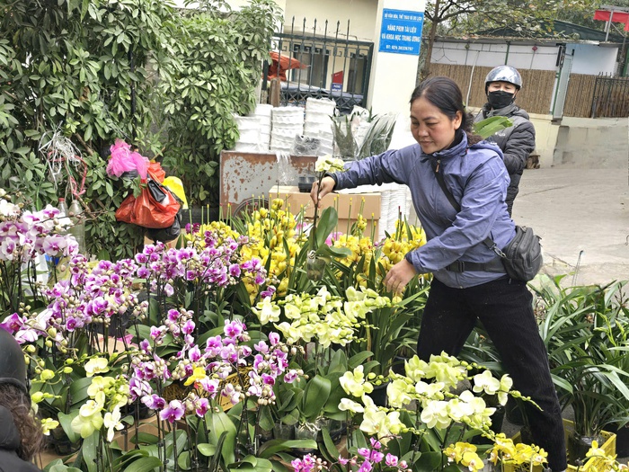 Thị trường ngày 29 Tết: Thực phẩm tươi sống, rau củ tăng giá nhẹ- Ảnh 2.