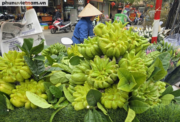 Hà Nội: Thực phẩm tăng giá trước ngày cúng ông Công, ông Táo - Ảnh 5.