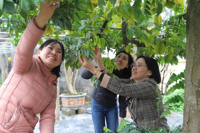 Thênh thang mùa xuân nơi "miền quê đáng sống"- Ảnh 1.