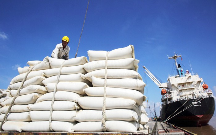Quy định mới về kinh doanh xuất khẩu gạo- Ảnh 1. Quy định mới về kinh doanh xuất khẩu gạo- Ảnh 1.