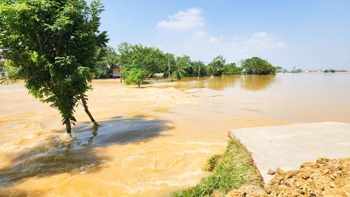 Chùm ảnh: Nhiều ngôi nhà ở Bắc Ninh vẫn chìm trong nước lũ- Ảnh 27. Chùm ảnh: Nhiều ngôi nhà ở Bắc Ninh vẫn chìm trong nước lũ- Ảnh 27.
