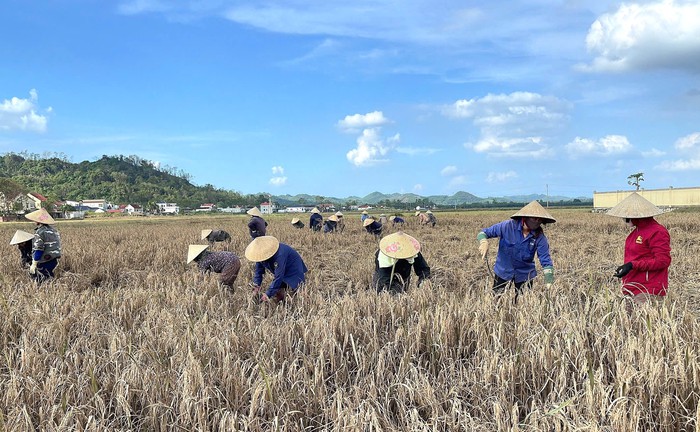Nghĩa tình phụ nữ nơi lũ vừa đi qua- Ảnh 1.