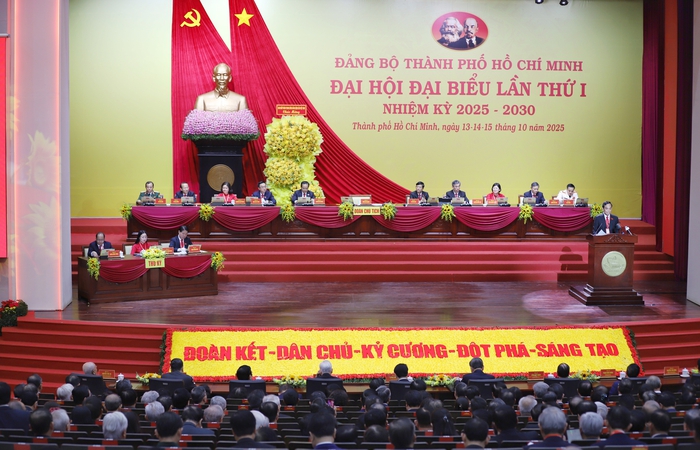 TPHCM phát huy bản lĩnh tiên phong, tinh thần đổi mới và khát vọng vươn tầm khu vực- Ảnh 2. TPHCM phát huy bản lĩnh tiên phong, tinh thần đổi mới và khát vọng vươn tầm khu vực- Ảnh 2.