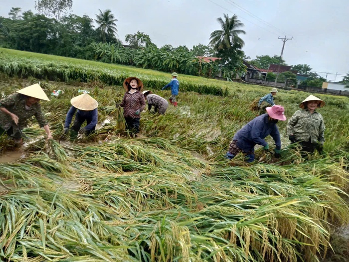 Nghệ An: Phụ nữ Anh Sơn góp tấm lòng sưởi ấm những phận đời khó khăn- Ảnh 2.