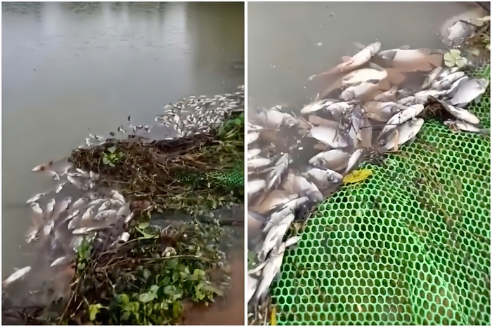 Vụ vỡ hồ chứa bùn ở Thái Nguyên: Tiến hành lấy mẫu, sẽ sớm có kết quả xét nghiệm hóa chất- Ảnh 3. Vụ vỡ hồ chứa bùn ở Thái Nguyên: Tiến hành lấy mẫu, sẽ sớm có kết quả xét nghiệm hóa chất- Ảnh 3.