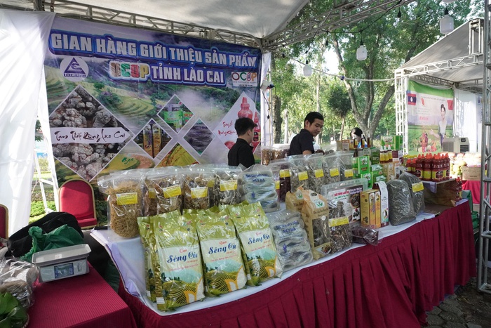 Điểm nhấn 60 gian hàng tại Ngày hội "Phụ nữ Khỏe Đẹp & Tiêu dùng xanh"- Ảnh 6. Điểm nhấn 60 gian hàng tại Ngày hội "Phụ nữ Khỏe Đẹp & Tiêu dùng xanh"- Ảnh 6.