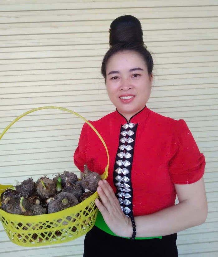 Chị Lò Thị Thuông, Chủ nhiệm Tổ hợp tác khoai sọ xã Mường Luân (tỉnh Điện Biên), “lên sóng” giới thiệu nông sản