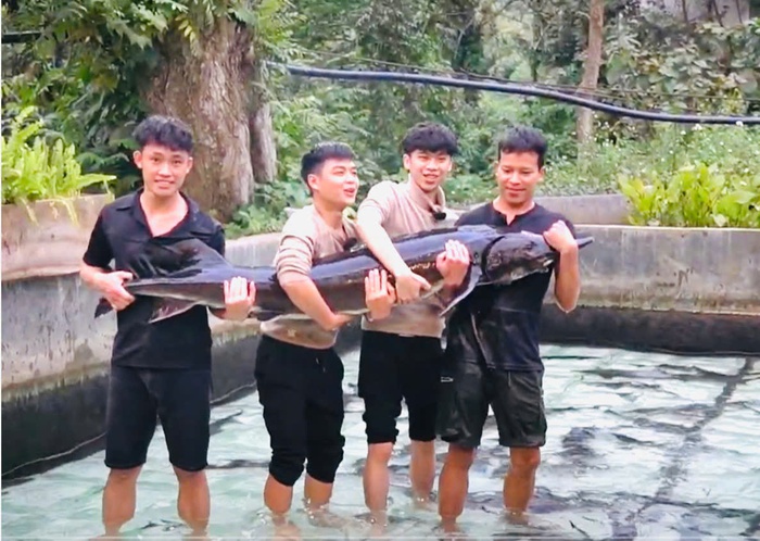 Cá Tầm 50kg sẽ được chào bán tại Tuần lễ Nông sản Việt 2025- Ảnh 1. Cá Tầm 50kg sẽ được chào bán tại Tuần lễ Nông sản Việt 2025- Ảnh 1.