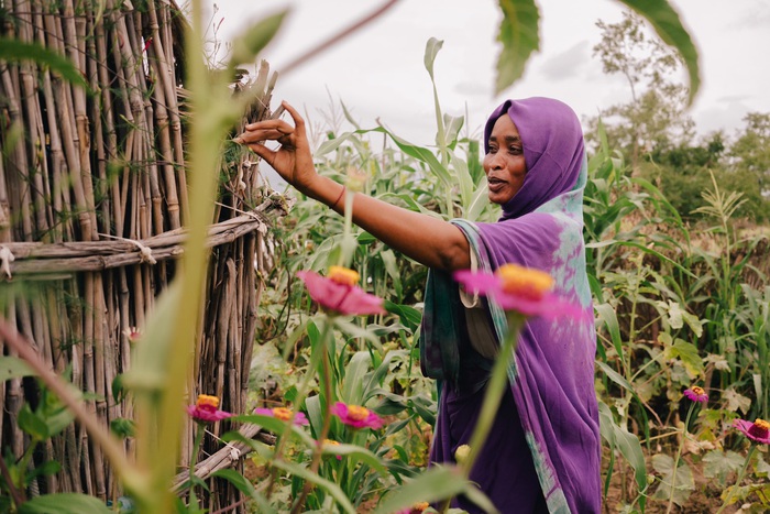 Phụ nữ Sudan sống chật vật trong các trại tị nạn giữa sa mạc- Ảnh 4. Phụ nữ Sudan sống chật vật trong các trại tị nạn giữa sa mạc- Ảnh 4.