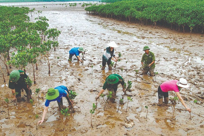 Hành động cụ thể để ngành nông nghiệp chủ động thích ứng biến đổi khí hậu- Ảnh 1. Hành động cụ thể để ngành nông nghiệp chủ động thích ứng biến đổi khí hậu- Ảnh 1.