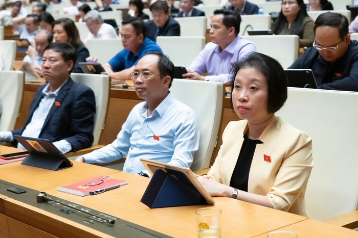 Sửa đổi đồng bộ quy định pháp luật của các cơ quan thi hành án hình sự, quản lý tạm giữ, tạm giam, lý lịch tư pháp- Ảnh 2.