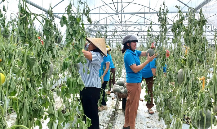 Những phiên chợ nghĩa tình cứu nông sản vùng lũ- Ảnh 1.