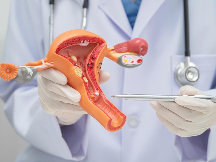 Giải mã trào lưu thải độc “vùng kín” để chữa viêm nhiễm phụ khoa- Ảnh 1. Giải mã trào lưu thải độc “vùng kín” để chữa viêm nhiễm phụ khoa- Ảnh 1.