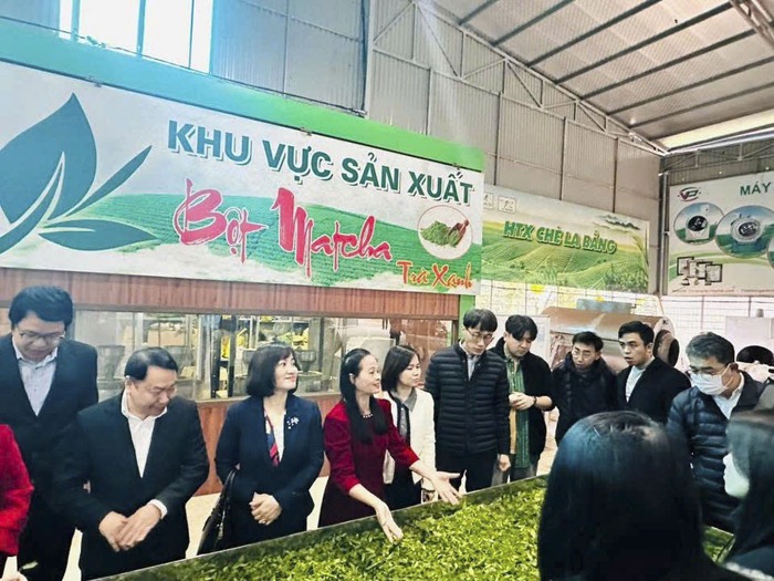 Nữ nghệ nhân đưa thương hiệu chè La Bằng vươn xa- Ảnh 3.