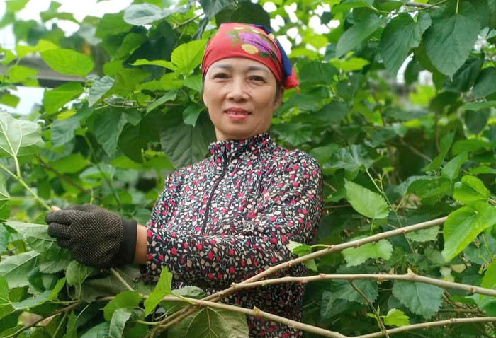 Phụ nữ xứ Nghệ "hồi sinh" nghề truyền thống- Ảnh 1.