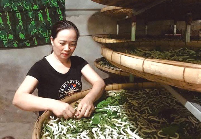 Phụ nữ xứ Nghệ "hồi sinh" nghề truyền thống- Ảnh 2.