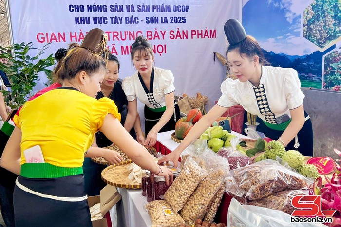 Xúc tiến thương mại cho nông sản và sản phẩm OCOP vùng dân tộc thiểu số và miền núi khu vực Tây Bắc- Ảnh 8. Xúc tiến thương mại cho nông sản và sản phẩm OCOP vùng dân tộc thiểu số và miền núi khu vực Tây Bắc- Ảnh 8.