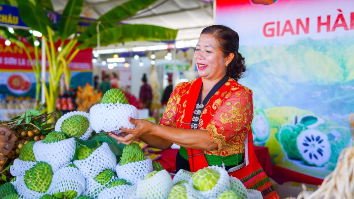 Xúc tiến thương mại cho nông sản và sản phẩm OCOP vùng dân tộc thiểu số và miền núi khu vực Tây Bắc- Ảnh 3. Xúc tiến thương mại cho nông sản và sản phẩm OCOP vùng dân tộc thiểu số và miền núi khu vực Tây Bắc- Ảnh 3.
