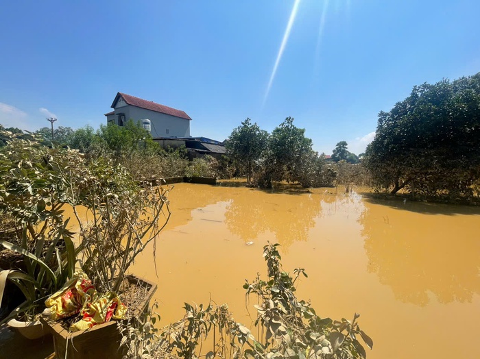 Người dân Thái Nguyên lặng người nhìn hàng trăm gốc đào xác xơ sau lũ- Ảnh 6. Người dân Thái Nguyên lặng người nhìn hàng trăm gốc đào xác xơ sau lũ- Ảnh 6.
