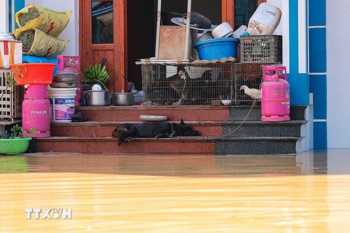 Thời tiết đêm 9 và ngày 10/10: Lũ trên sông Cầu ở Bắc Ninh tiếp tục lên- Ảnh 1. Thời tiết đêm 9 và ngày 10/10: Lũ trên sông Cầu ở Bắc Ninh tiếp tục lên- Ảnh 1.