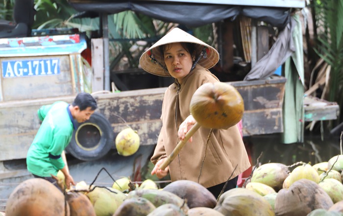 Trao vốn cho 12 hộ hợp tác, hộ gia đình ở Vĩnh Long - Ảnh 1.