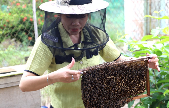 Trao vốn cho 12 hộ hợp tác, hộ gia đình ở Vĩnh Long - Ảnh 3.