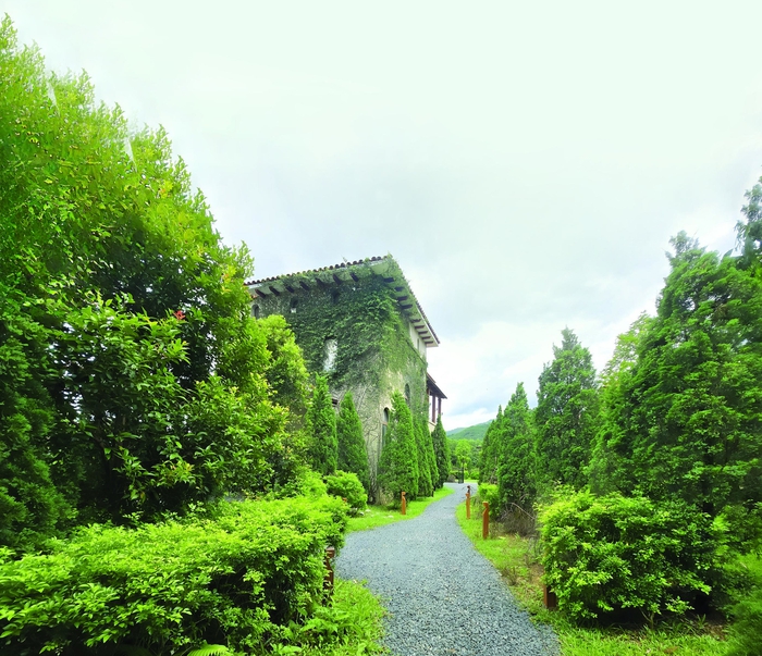 Cách thiết kế không gian sống xanh để “chữa lành”  - Ảnh 1.