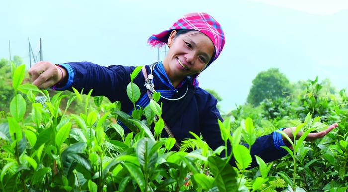 Những “bông hoa” vùng cao đang viết lại hành trình cuộc đời - Ảnh 2.