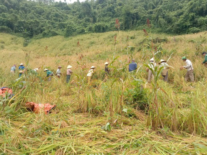 Trao "chìa khóa" thoát nghèo cho phụ nữ vùng cao Lượng Minh- Ảnh 1. Trao "chìa khóa" thoát nghèo cho phụ nữ vùng cao Lượng Minh- Ảnh 1.