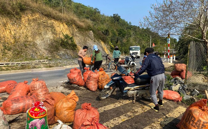 Cây dong riềng - sinh kế bền vững cho đồng bào dân tộc thiểu số - Ảnh 2. Cây dong riềng - sinh kế bền vững cho đồng bào dân tộc thiểu số - Ảnh 2.