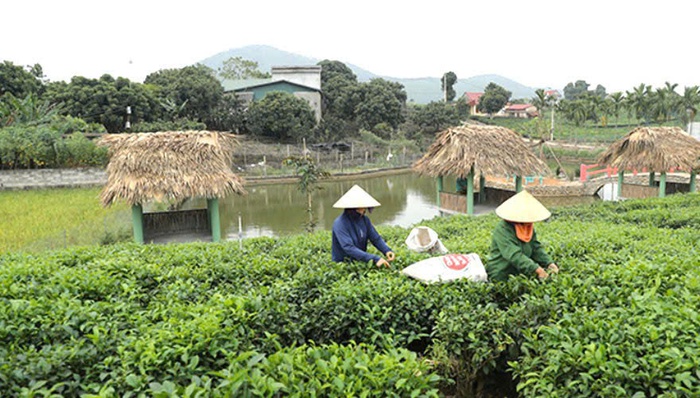 Không còn hộ nghèo, đời sống vùng đồng bào dân tộc thiểu số Hà Nội thay đổi rõ rệt sau 5 năm- Ảnh 1. Không còn hộ nghèo, đời sống vùng đồng bào dân tộc thiểu số Hà Nội thay đổi rõ rệt sau 5 năm- Ảnh 1.