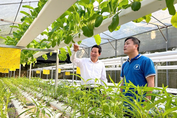 Nông nghiệp Tuyên Quang bứt phá từ chuyển đổi số và chuyển đổi xanh- Ảnh 1. Nông nghiệp Tuyên Quang bứt phá từ chuyển đổi số và chuyển đổi xanh- Ảnh 1.