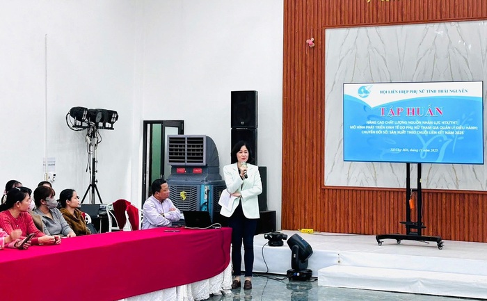 Hội LHPN tỉnh Thái Nguyên đề xuất cơ chế, chính sách để phụ nữ phát triển toàn diện- Ảnh 3. Hội LHPN tỉnh Thái Nguyên đề xuất cơ chế, chính sách để phụ nữ phát triển toàn diện- Ảnh 3.