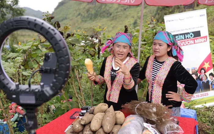 Thúc đẩy thương mại miền núi, vùng sâu, vùng xa và hải đảo, hướng tới phát triển bền vững- Ảnh 4. Thúc đẩy thương mại miền núi, vùng sâu, vùng xa và hải đảo, hướng tới phát triển bền vững- Ảnh 4.