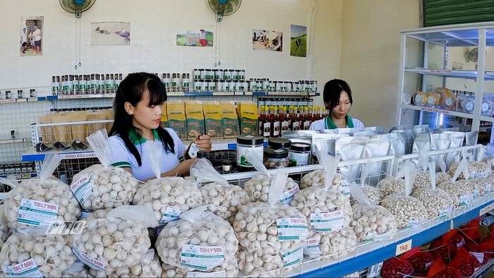 Thúc đẩy thương mại miền núi, vùng sâu, vùng xa và hải đảo, hướng tới phát triển bền vững- Ảnh 2. Thúc đẩy thương mại miền núi, vùng sâu, vùng xa và hải đảo, hướng tới phát triển bền vững- Ảnh 2.