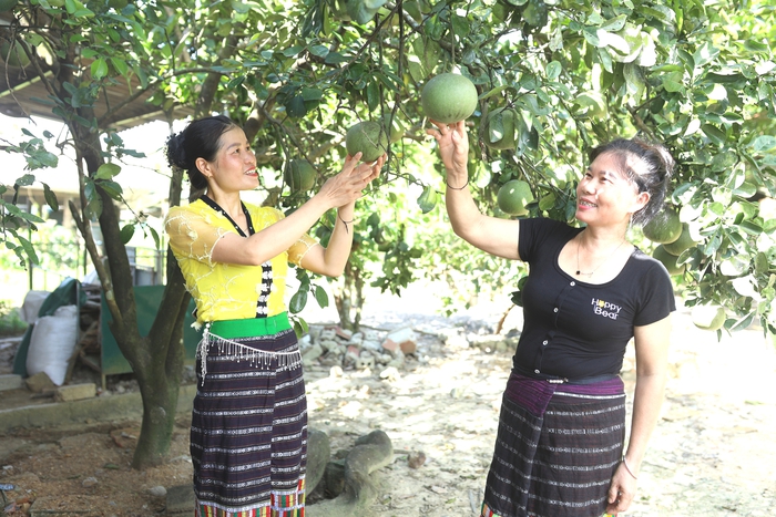 Chi hội trưởng thay đổi nếp nghĩ, nếp sống của phụ nữ bản Tân Hợp- Ảnh 2. Chi hội trưởng thay đổi nếp nghĩ, nếp sống của phụ nữ bản Tân Hợp- Ảnh 2.