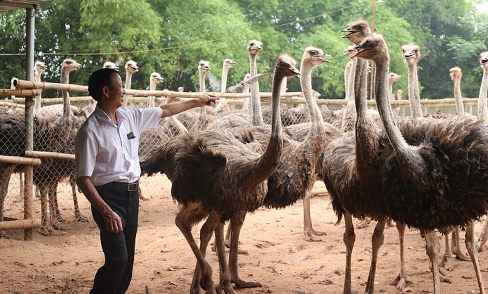 Bản làng đồng bào Mường và Dao thành điểm đến du lịch cộng đồng mới của Hà Nội- Ảnh 2. Bản làng đồng bào Mường và Dao thành điểm đến du lịch cộng đồng mới của Hà Nội- Ảnh 2.