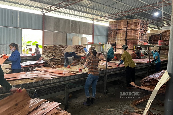 Lao động thời vụ bị tai nạn có được bồi thường không?- Ảnh 2. Lao động thời vụ bị tai nạn có được bồi thường không?- Ảnh 2.