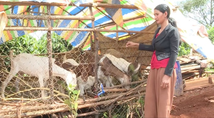 Chính sách dân tộc mở lối an sinh cho đồng bào DTTS Lâm Đồng- Ảnh 1.