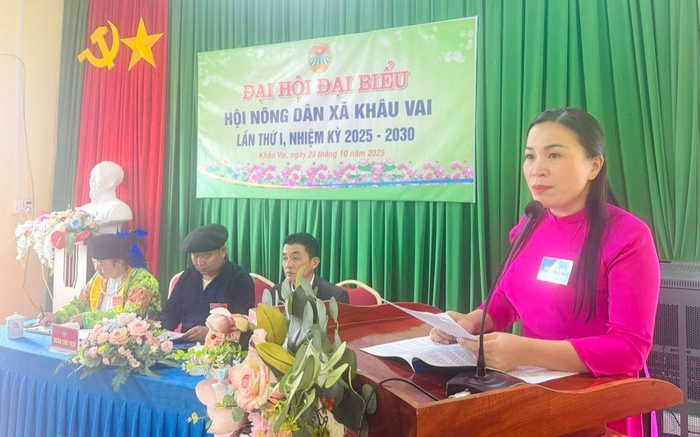 Cần tăng cường đào tạo kỹ năng số cơ bản cho người dân vùng khó- Ảnh 1.