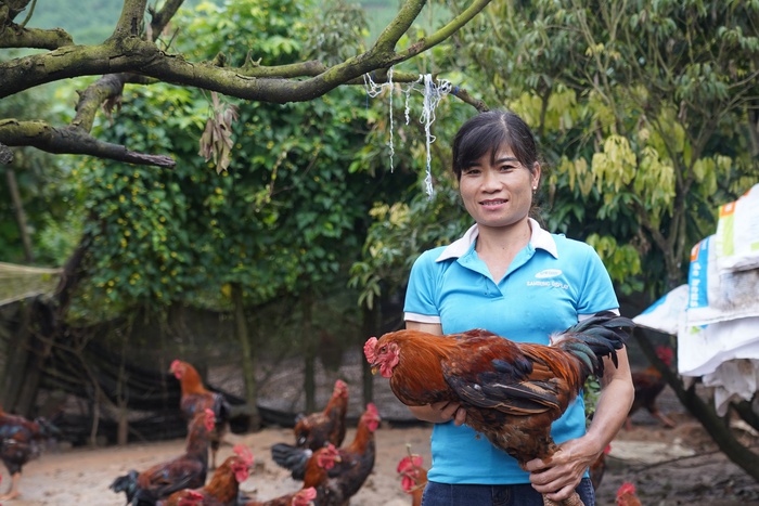 Phụ nữ Yên Định: Hiệu quả kinh tế gấp 5-7 lần nhờ chuyển đổi cơ cấu cây trồng- Ảnh 4. Phụ nữ Yên Định: Hiệu quả kinh tế gấp 5-7 lần nhờ chuyển đổi cơ cấu cây trồng- Ảnh 4.