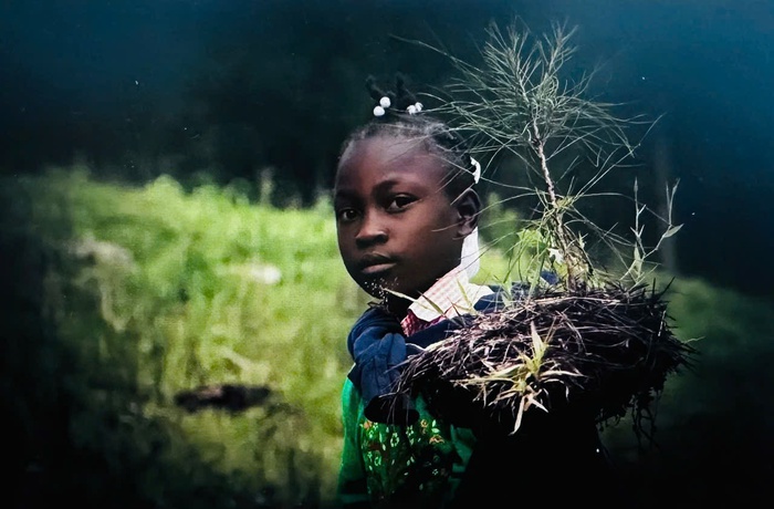 COP30: Bình đẳng giới - bài toán chuyển đổi hay chỉ là hình thức?- Ảnh 1. COP30: Bình đẳng giới - bài toán chuyển đổi hay chỉ là hình thức?- Ảnh 1.