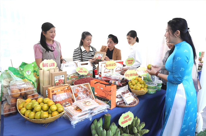 Đưa sản phẩm vùng cao chinh phục người tiêu dùng, tạo sức bật cho phụ nữ dân tộc thiểu số và miền núi khởi nghiệp- Ảnh 3.