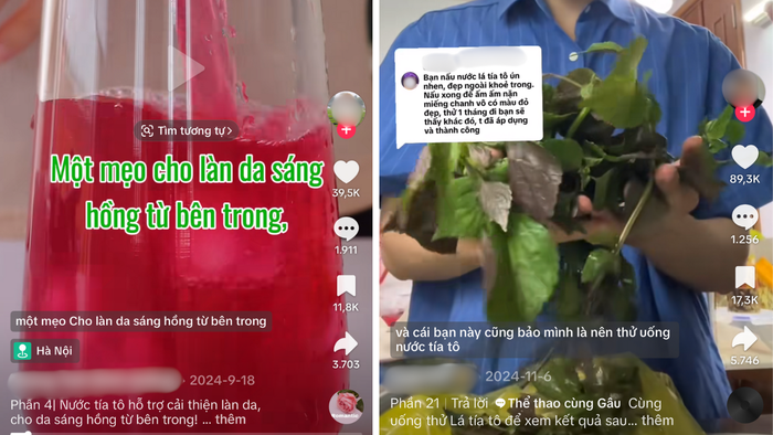 Không phải ai cũng nên uống nước lá tía tô- Ảnh 1.