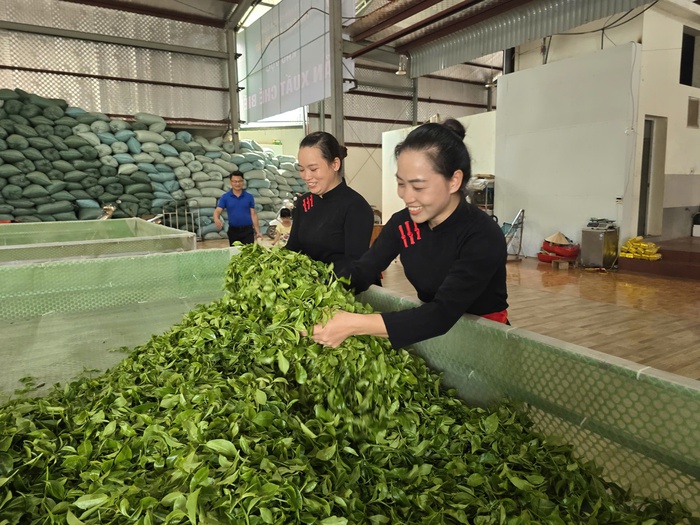 Nâng tầm nông sản vùng dân tộc thiểu số và miền núi thành thương hiệu quốc gia- Ảnh 4.