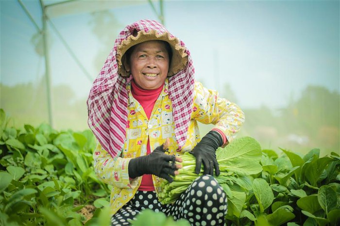 Bình đẳng giới - chìa khóa cho giảm nghèo bền vững ở Việt Nam- Ảnh 3. Bình đẳng giới - chìa khóa cho giảm nghèo bền vững ở Việt Nam- Ảnh 3.