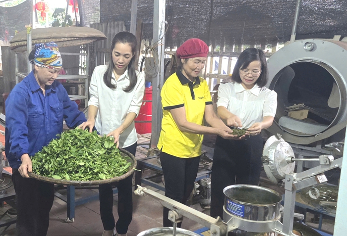 Nâng tầm nông sản vùng dân tộc thiểu số và miền núi thành thương hiệu quốc gia- Ảnh 5.