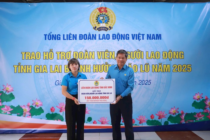 Công đoàn hỗ trợ hơn 1,5 tỉ đồng giúp đoàn viên Gia Lai khắc phục khó khăn do bão số 13 và lũ lịch sử- Ảnh 1.