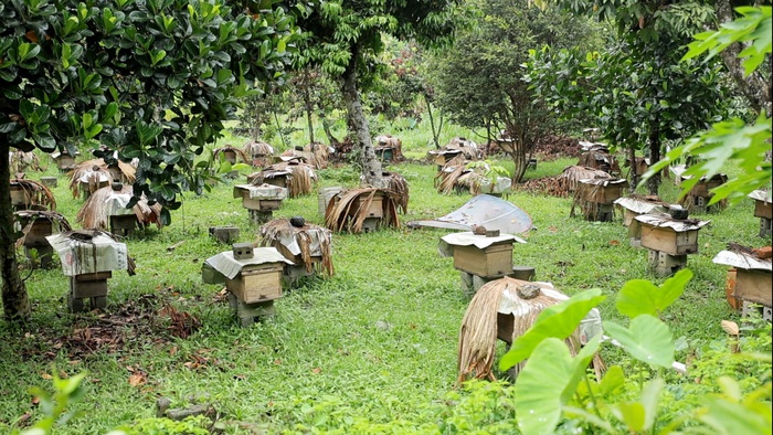 Hợp Thành (Thái Nguyên): Vững vàng sau thiên tai, bứt phá mục tiêu phát triển kinh tế - xã hội- Ảnh 2. Hợp Thành (Thái Nguyên): Vững vàng sau thiên tai, bứt phá mục tiêu phát triển kinh tế - xã hội- Ảnh 2.